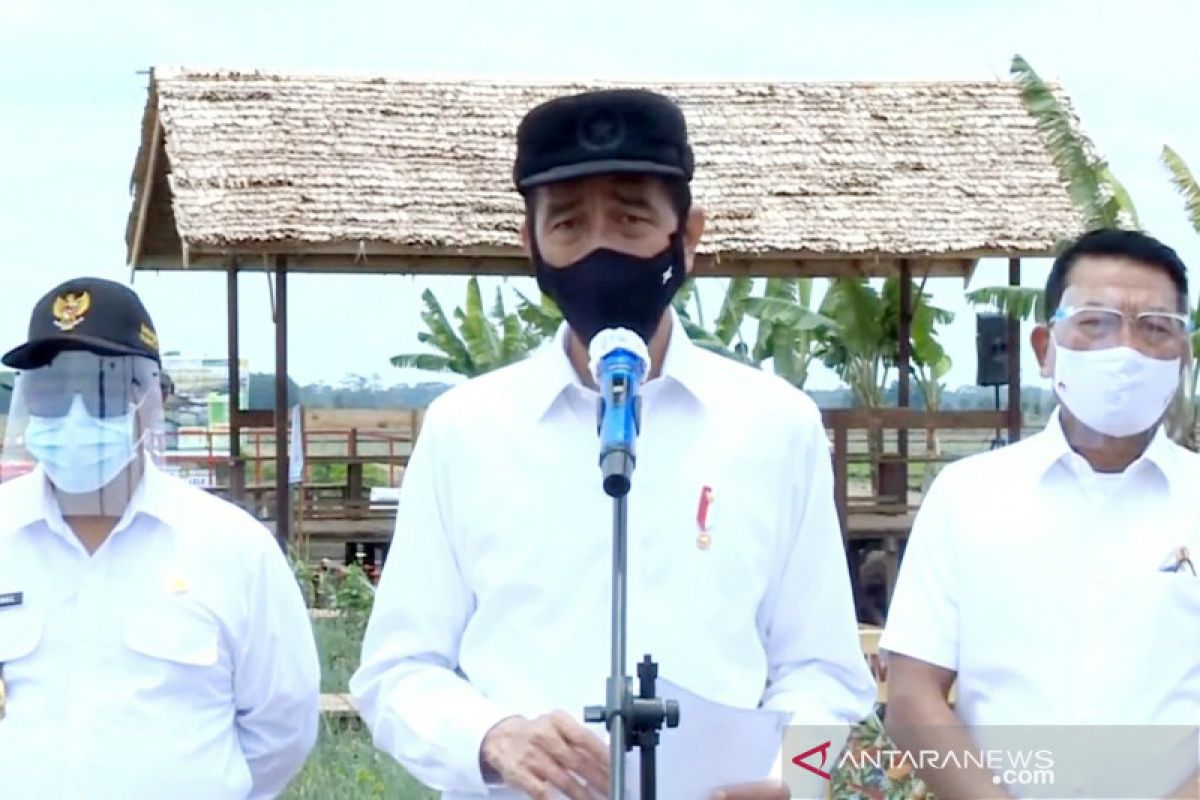 Pengembangan model bisnis pertanian di kawasan food estate Kalteng