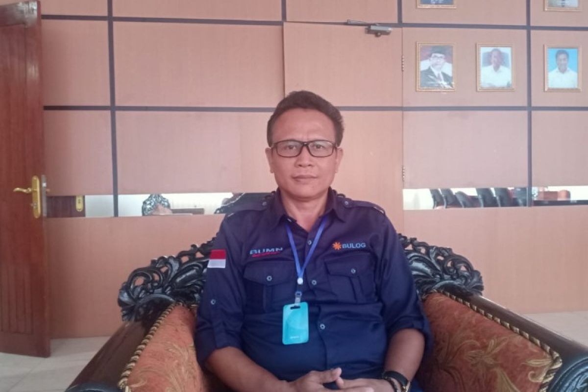 Bulog Papua siap beli 24.500 ton beras hasil petani di Merauke