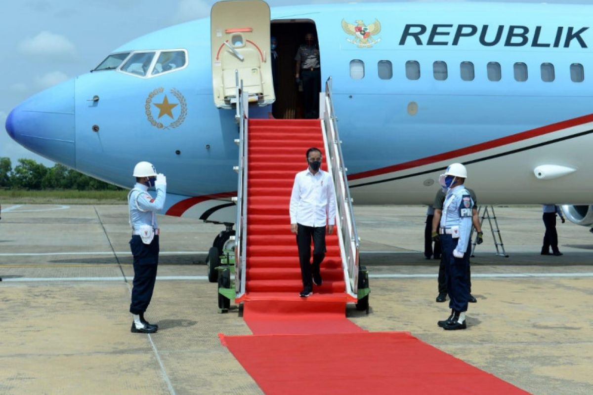 Presiden tinjau lumbung pangan di Kalimantan Tengah