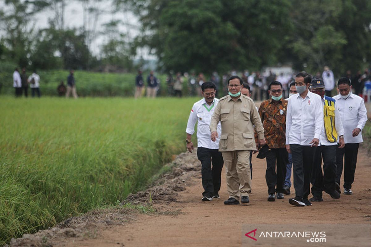 Kementan adakan bimtek petani "food estate" Kalteng