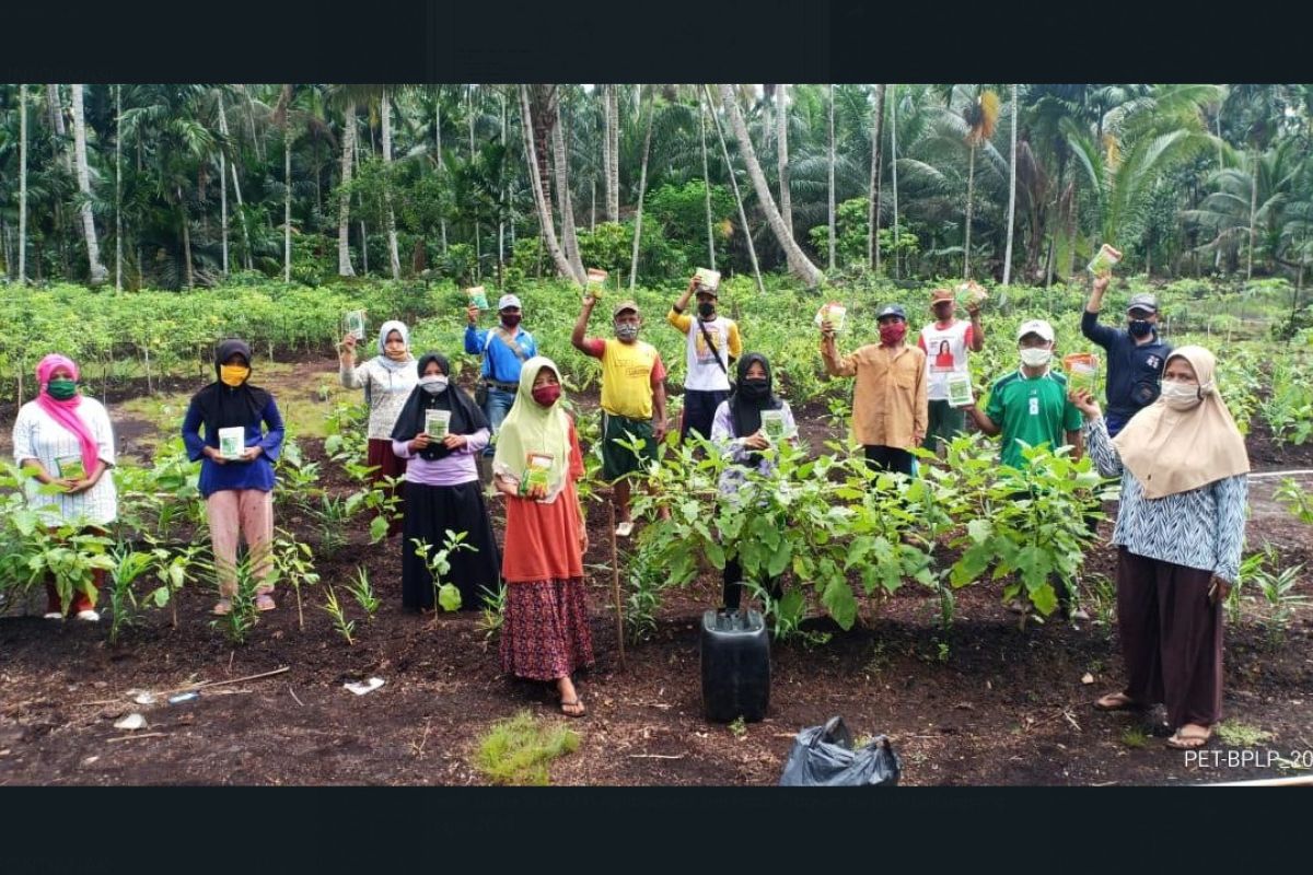 Petani dapatkan keuntungan tanam jahe merah sekaligus cegah karhutla