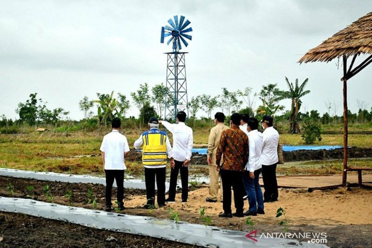 Presiden RI Joko Widodo apresiasi penggunaan drone di "food estate" Kalteng