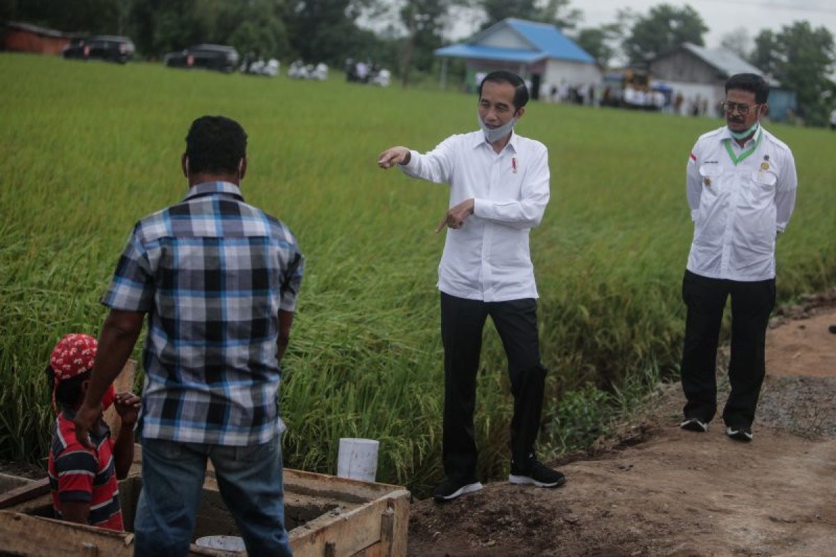 Presiden Jokowi: Air melimpah di "food estate" Kalteng untuk budidaya ikan