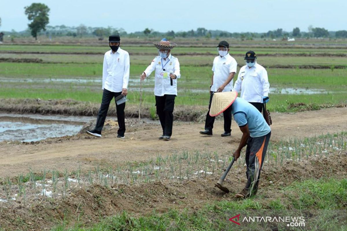 Mentan : lumbung pangan terapkan teknologi pertanian modern