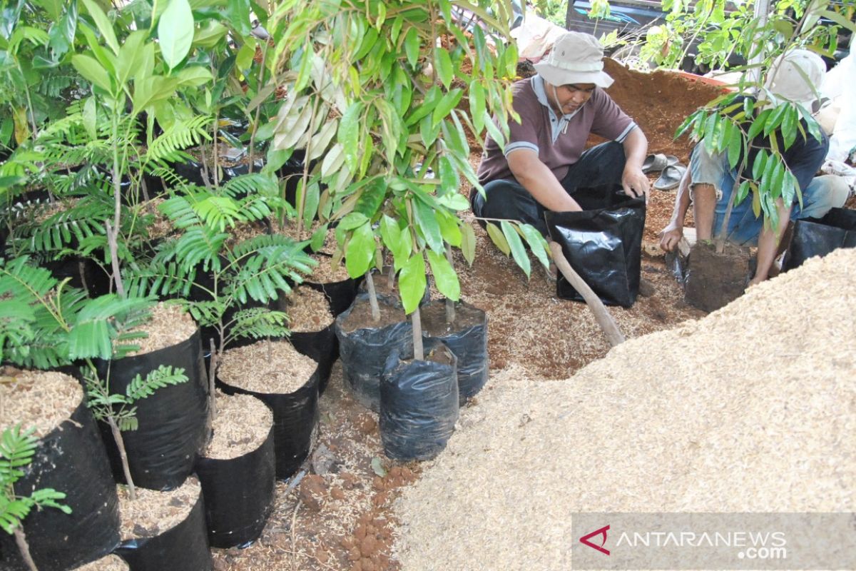 Penjualan tanaman di Bogor alami peningkatan drastis di tengah pandemi