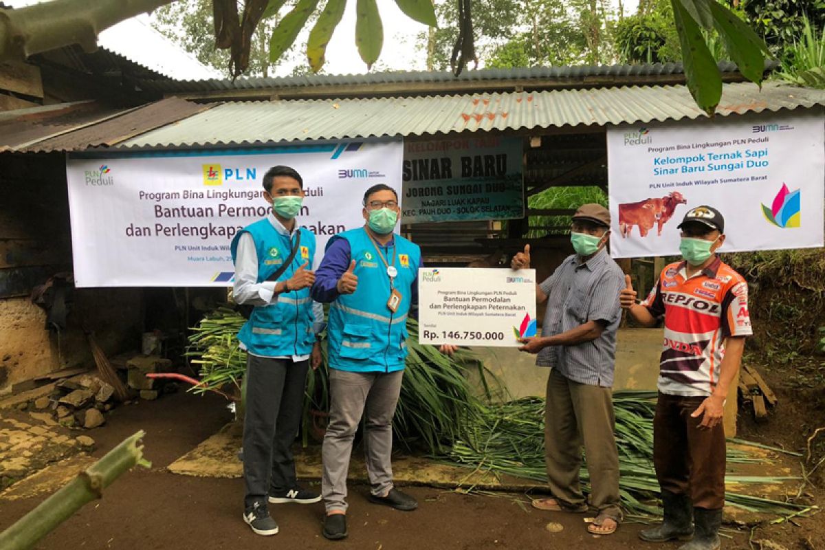 PLN Sumbar salurkan bantuan PLN Peduli kepada peternak sapi dan gedung tahfidzilquran