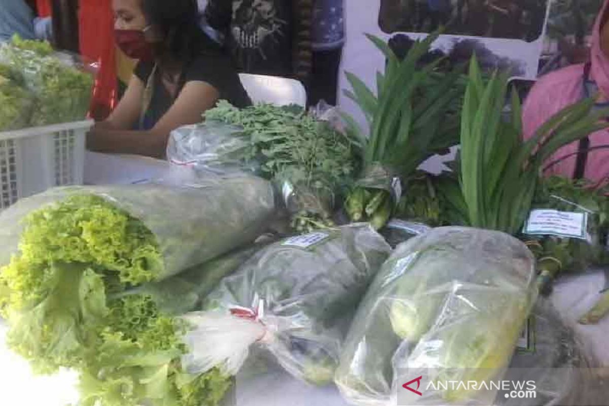 Pemkab Sigi gencarkan program p2l  tingkatkan ekonomi masyarakat