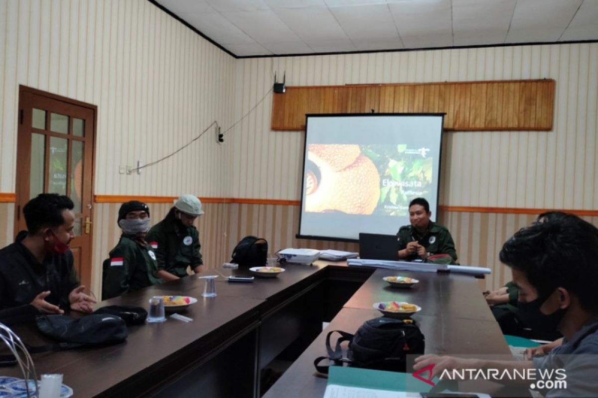 Rejang Lebong salah satu habitat "Rafflesia arnoldii"