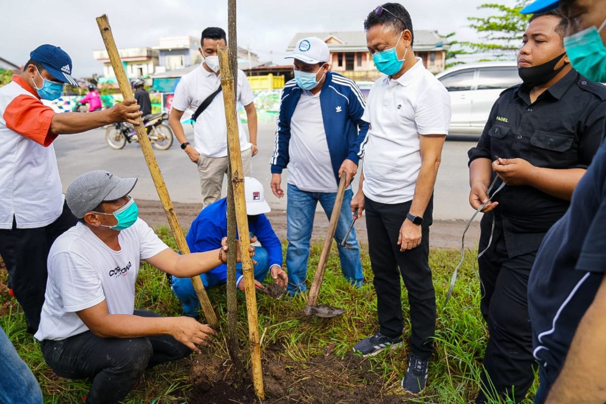 Pemkot Pontianak dan Bank Kalbar tanam 200 bibit pohon bungur dan pelae