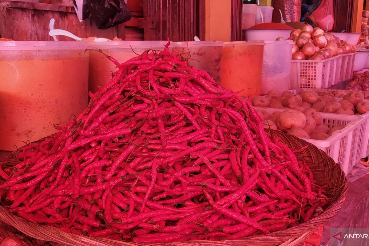 Harga cabai merah di pasar tradisional di Tanah Datar terus naik