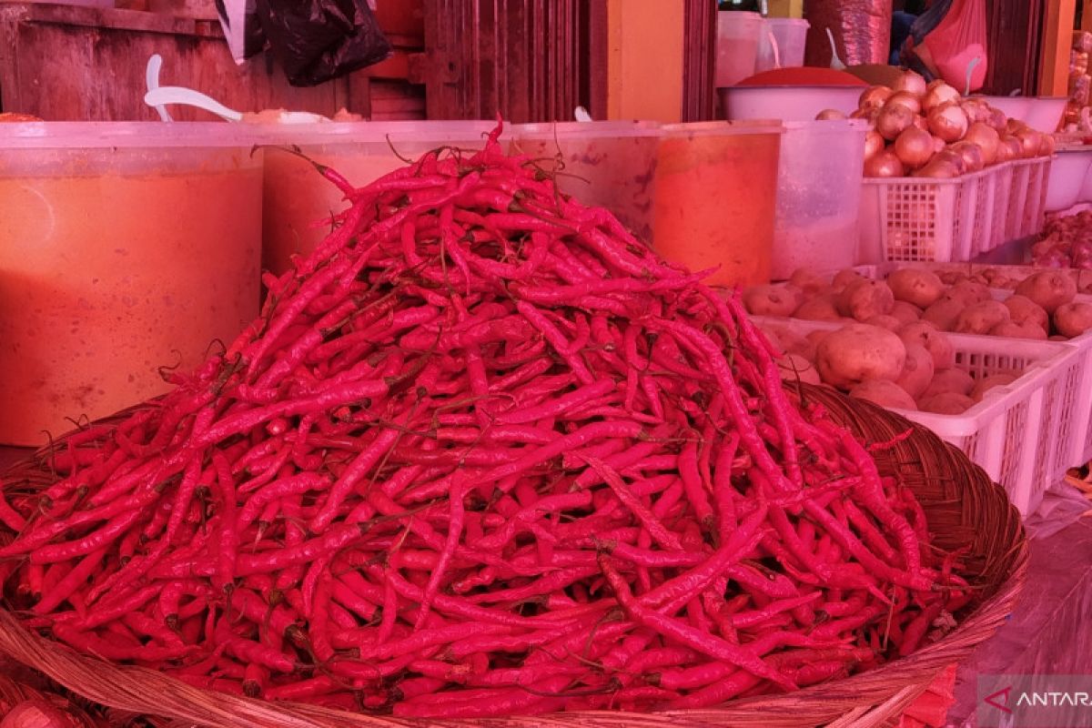 Harga cabai merah di pasar tradisional Tanah Datar Sumbar "merangkak" naik