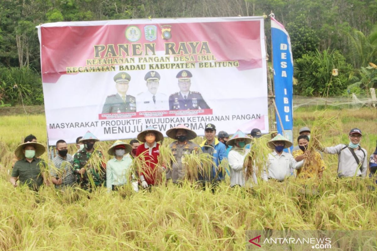 Pemkab Belitung komitmen lindungi lahan pertanian pangan berkelanjutan