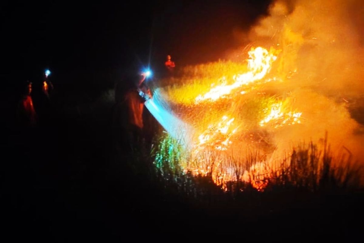 Kebakaran lahan hanguskan 10 hektare lahan di Kecamatan Kapuas Murung