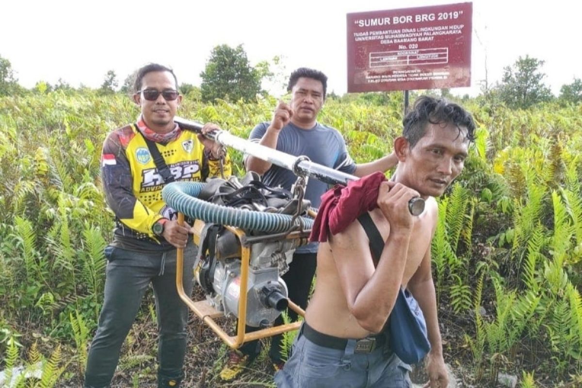 Relawan rutin basahi lahan gambut Kotim cegah kebakaran