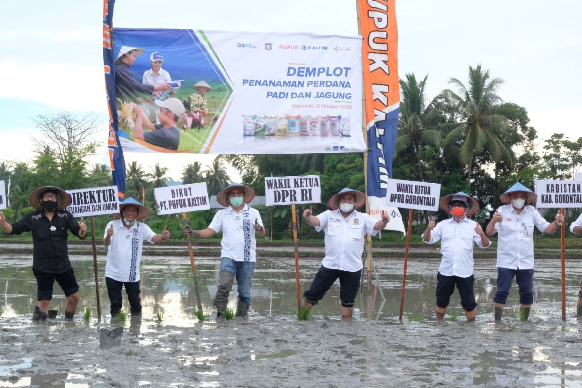 PT Pupuk Kaltim dorong produktivitas pertanian masyarakat Gorontalo