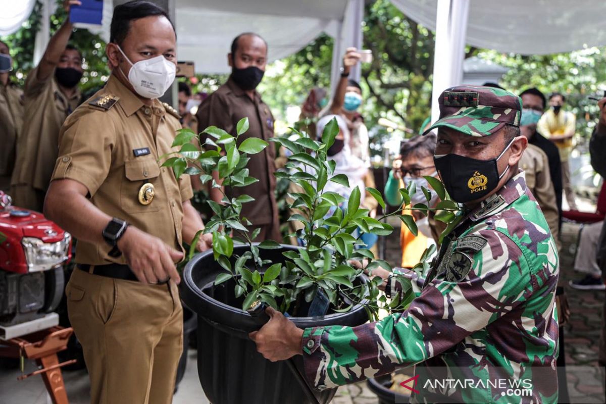Bima Arya dorong lakukan terobosan kembangkan sektor pertanian perkotaan di Kota Bogor