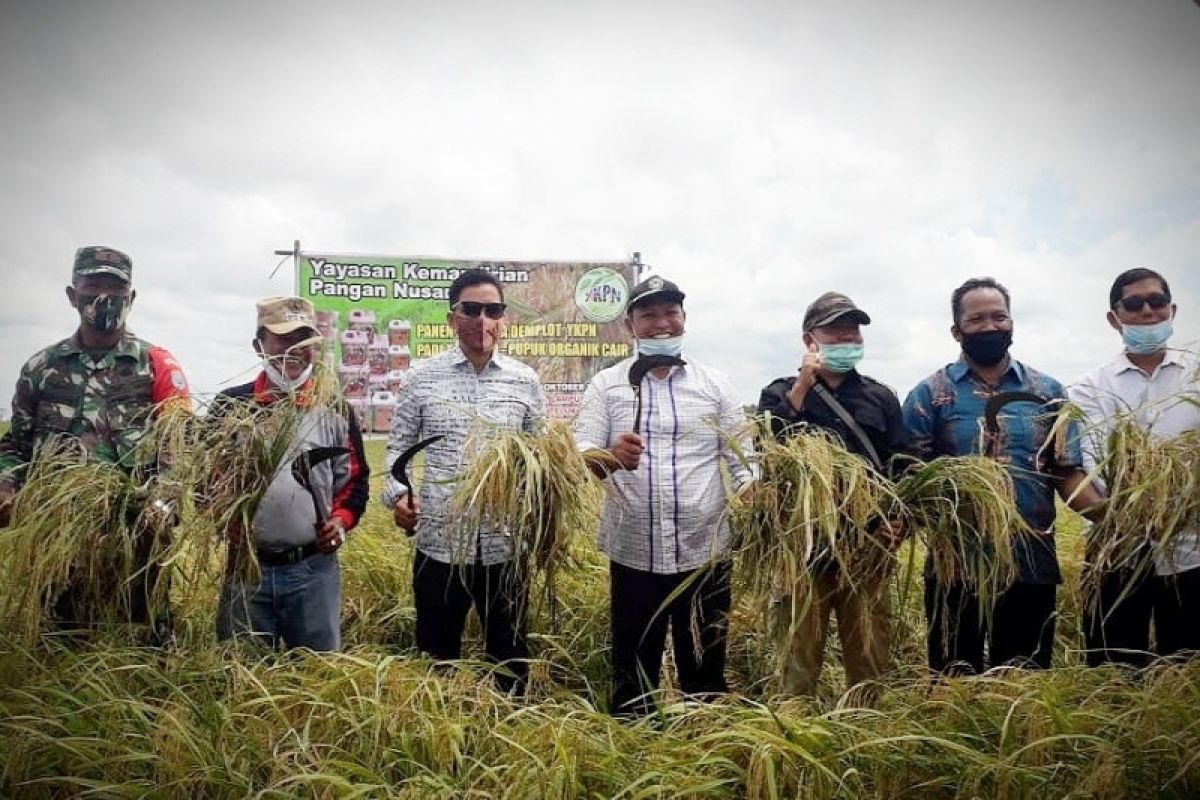 DPRD Kotim dukung terobosan tingkatkan produksi pertanian