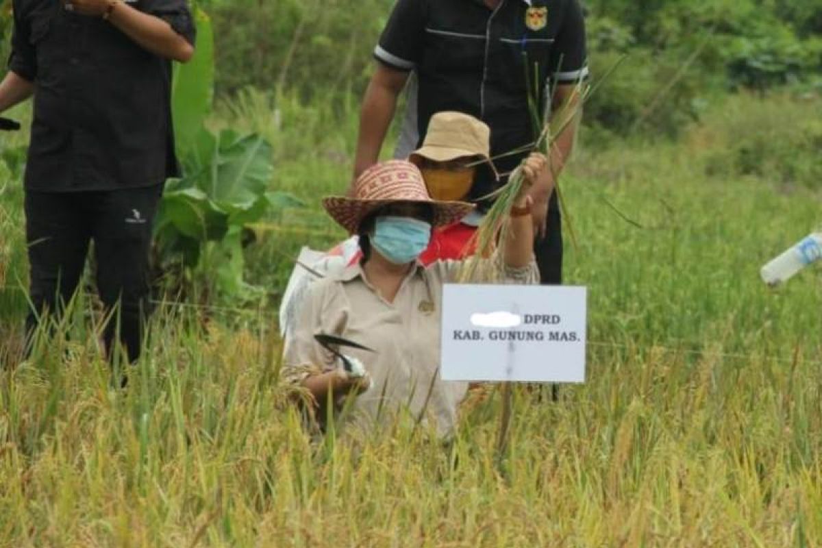 Petani di Gunung Mas diminta manfaatkan lahan tidur