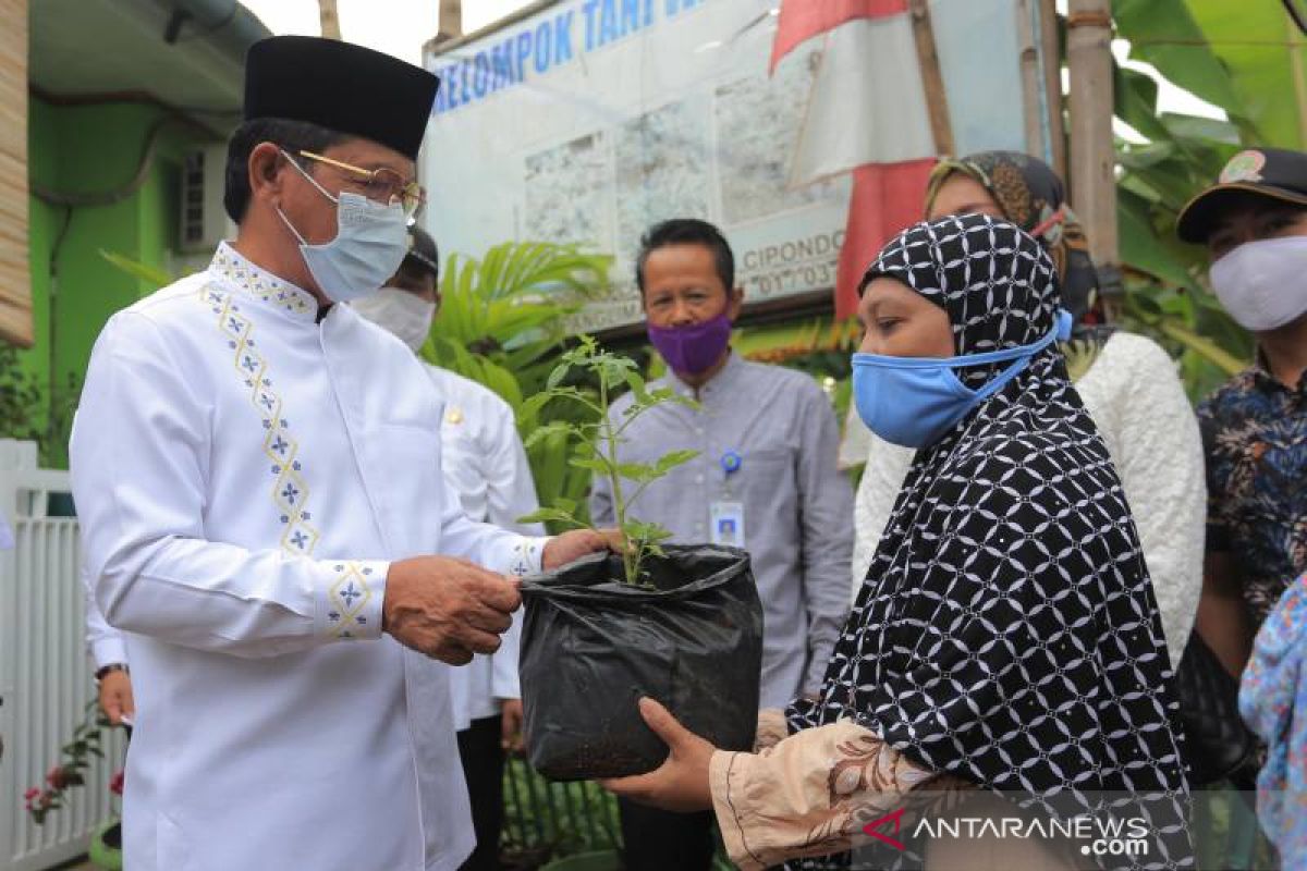 Panen sayur KWT Kota Tangerang ringankan ekonomi keluarga di masa pandemi