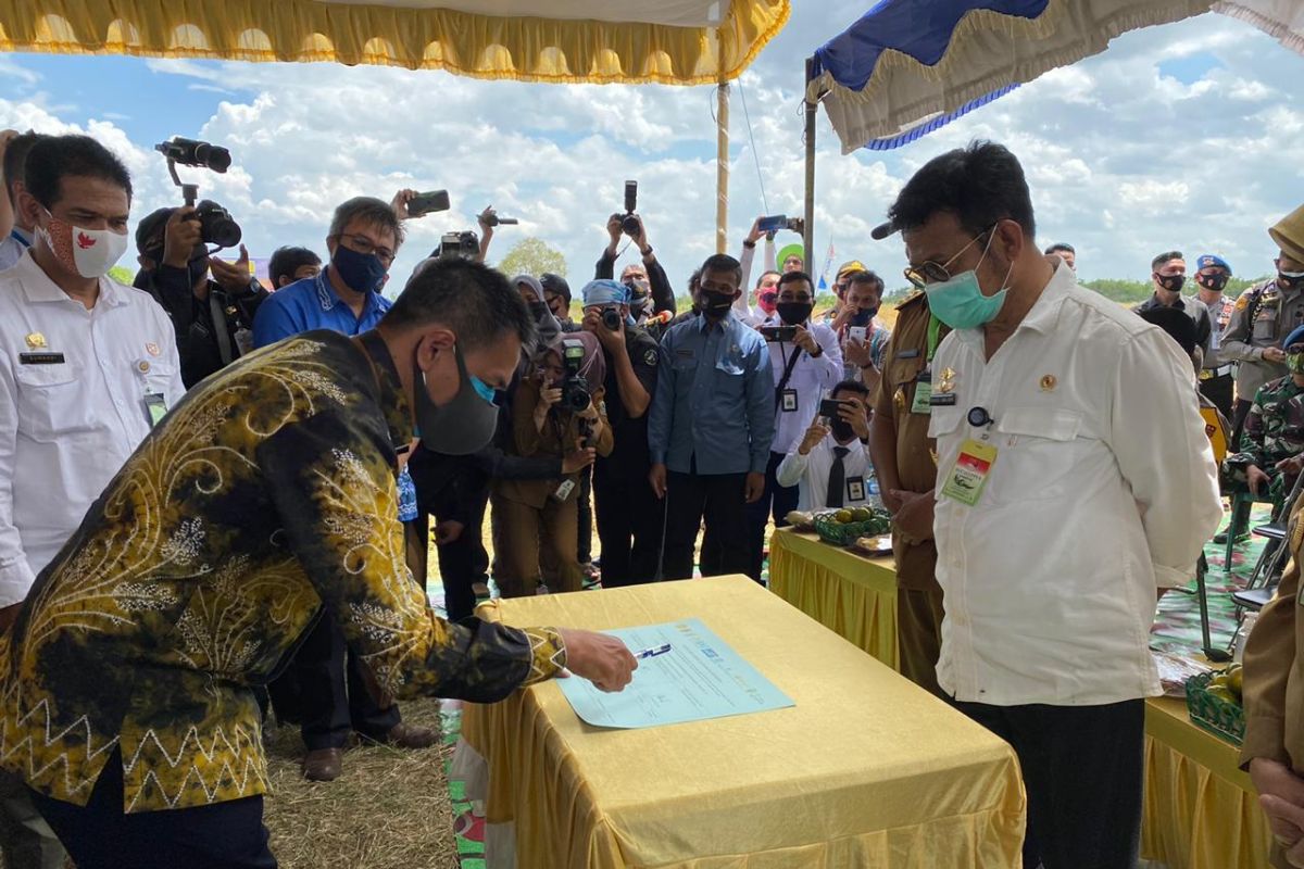 Bank Kalsel dukung petani tingkatkan produksi penuhi ketahanan pangan nasional