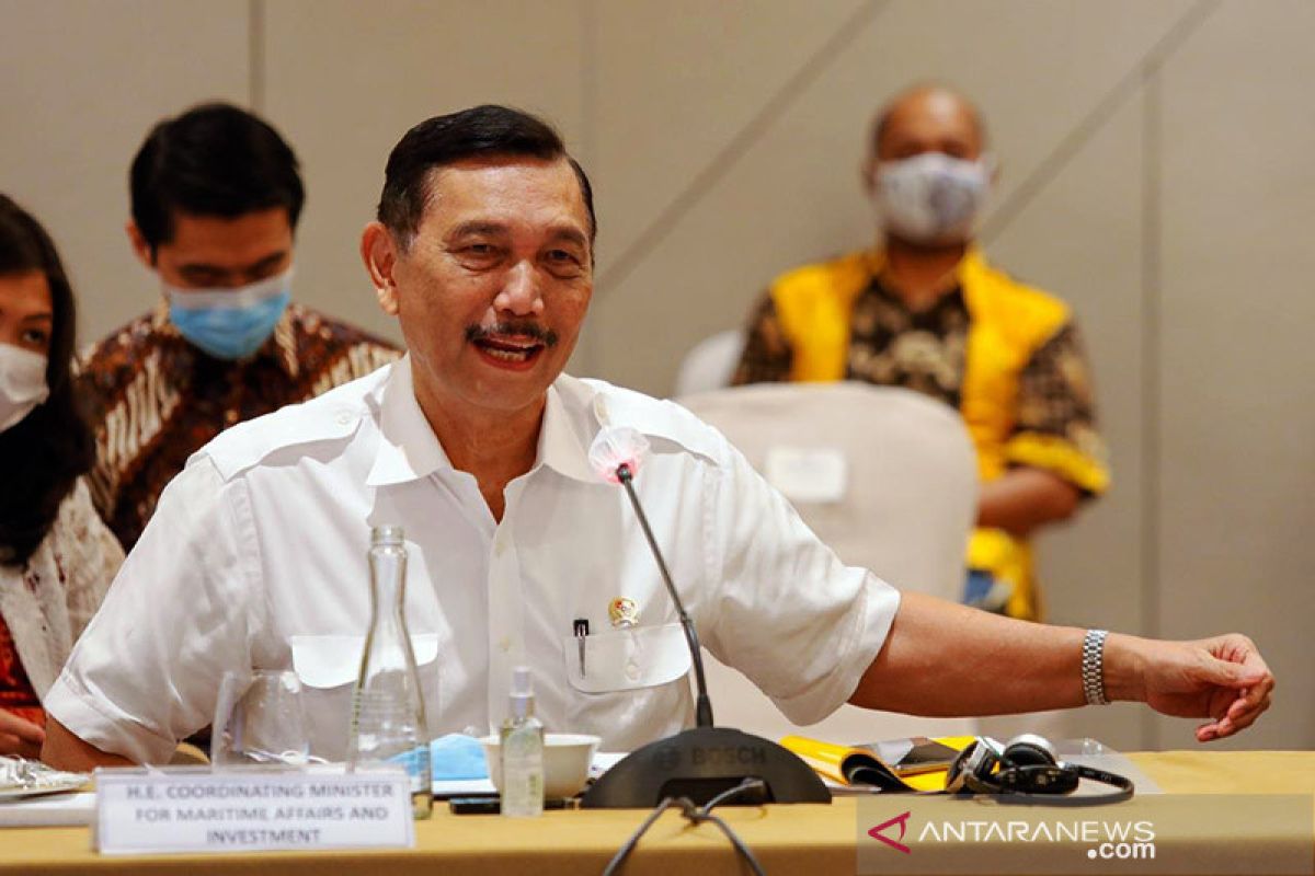 Luhut tekankan pentingnya pengetesan dan pelacakan kasus COVID-19