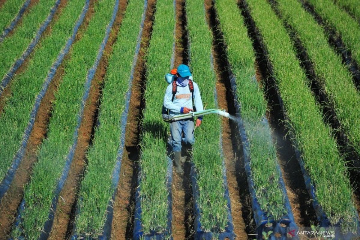 Kementan sebut UU Cipta Kerja beri kemudahan petani memulai usaha