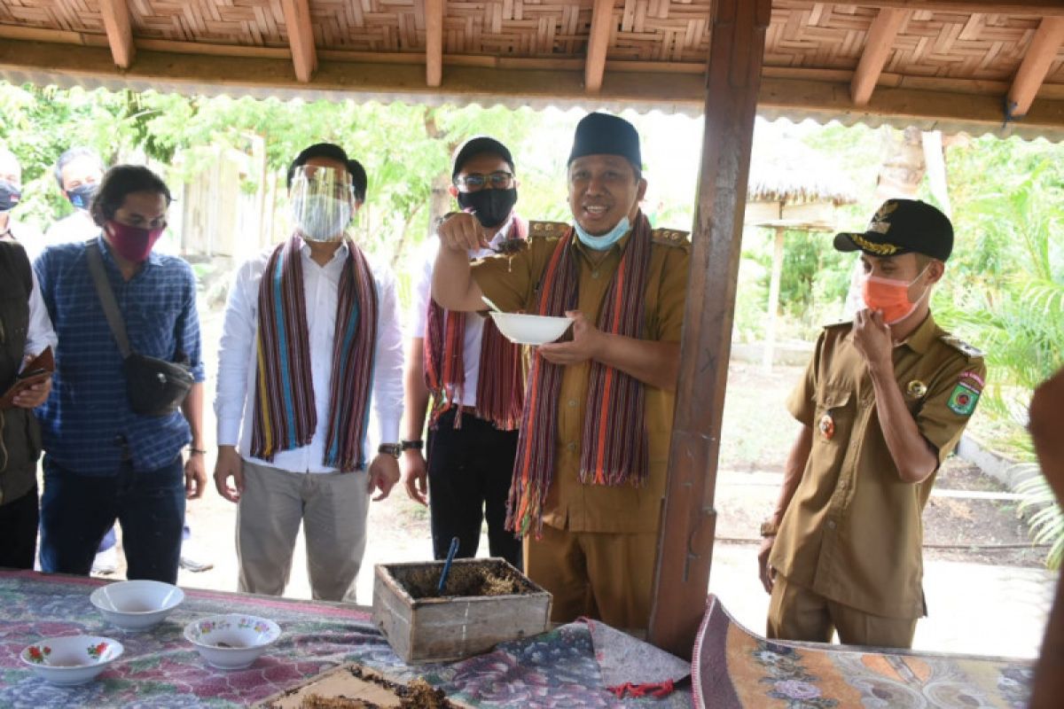 Stafsus Kemenristek BRIN-Kemendes PDTT kunjungi petani madu trigona KLU