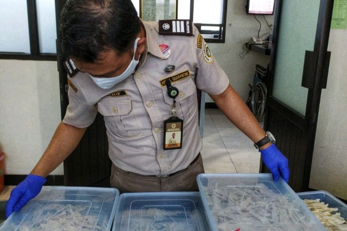 Gorontalo memiliki potensi bisnis sarang burung walet