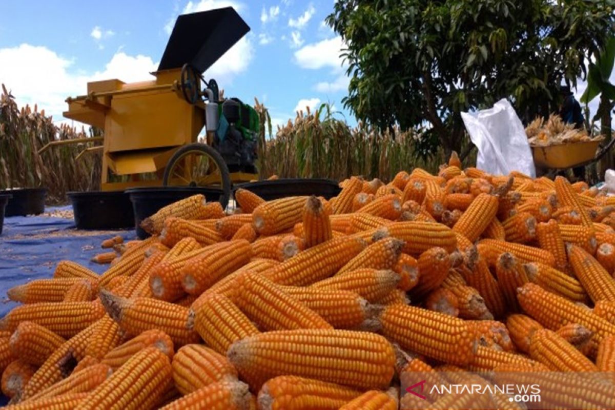 World Food Day spurs Indonesia to assess food security policy