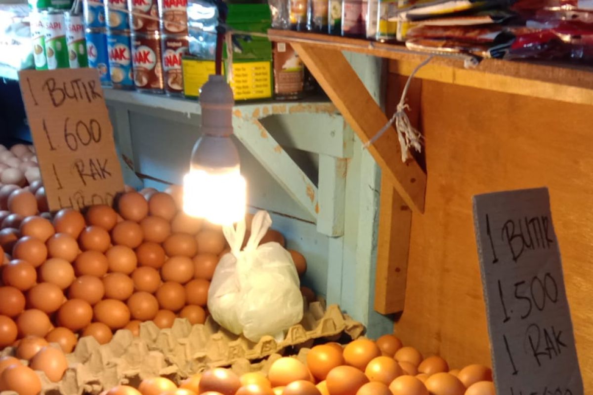 Harga telur ayam ras di pasar tradisional Ambon turun