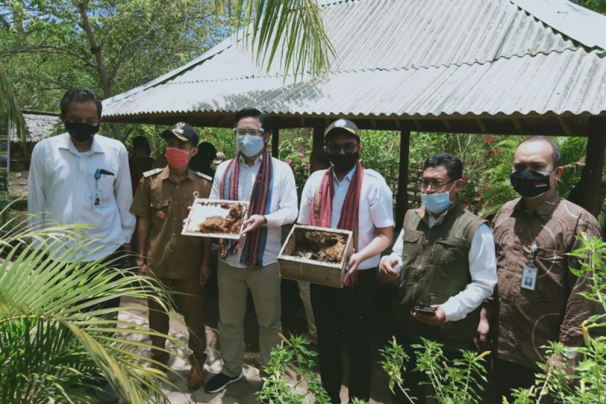 Kemenristek dorong madu trigona hasil budi daya warga Lombok Utara diekspor