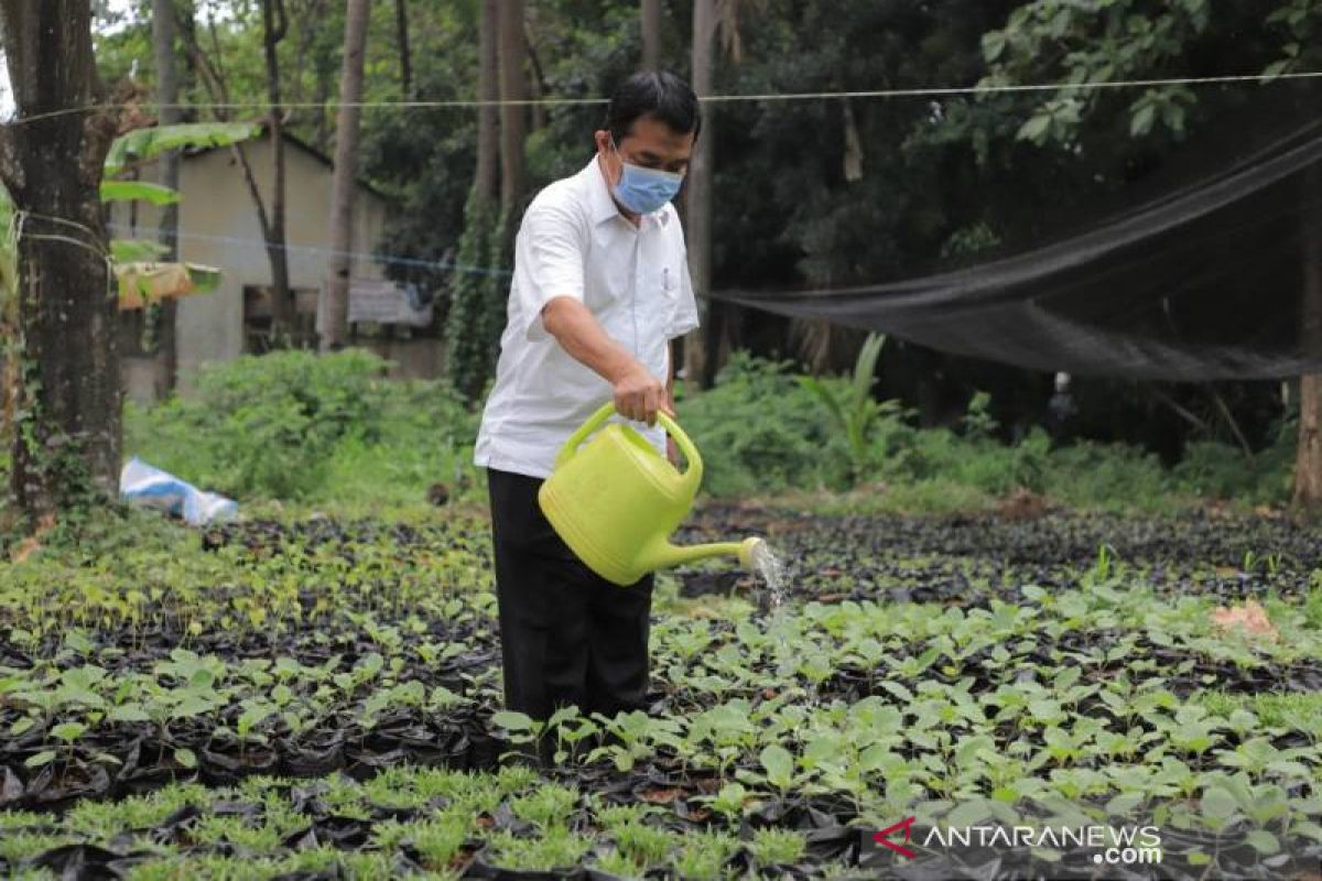 Pemkot Tangerang libatkan pegawai sejumlah OPD bantu pembibitan tanaman produktif