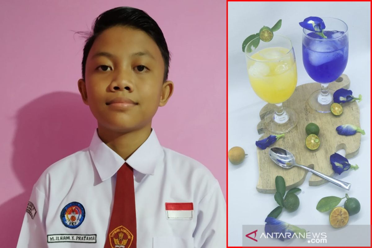 Bunga telang antarkan siswa SDN 08 Bengkulu menang Kihajar STEM