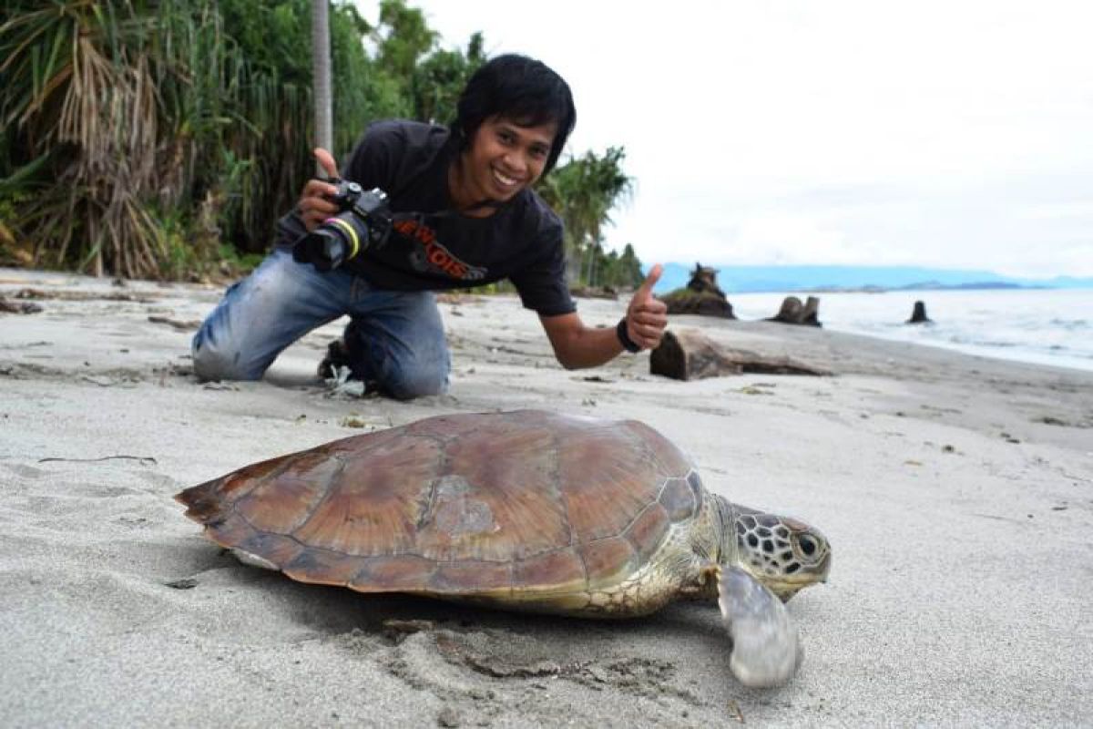 Pemerhati Penyu Polewali Mandar raih "Coastal Award" dari KKP