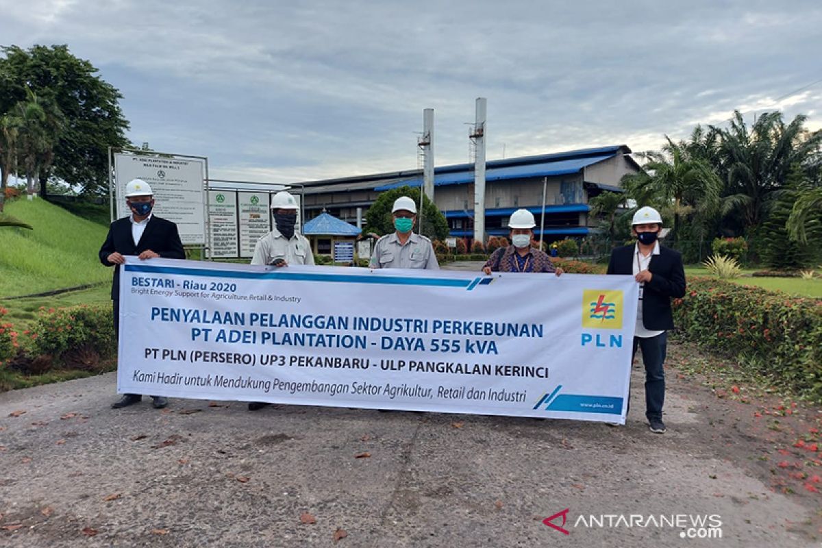 Program BESTARI-Riau2020 cara PLN Pekanbaru bantu pelaku usaha sektor pertanian