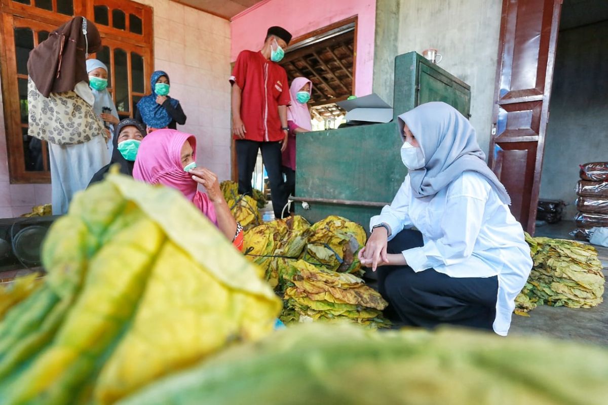 Pasangan Ipuk-Sugirah siapkan dua program di sektor pertanian