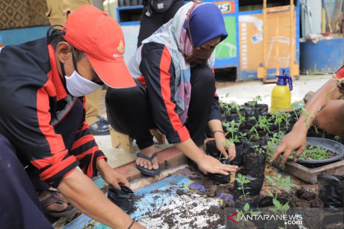 Karawaci jadikan sampah sayuran jadi media tanam