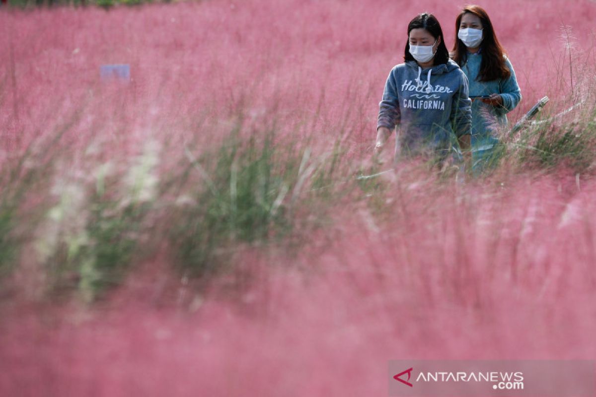 Korsel laporkan 490 kasus COVID-19 tertinggi dalam tiga pekan