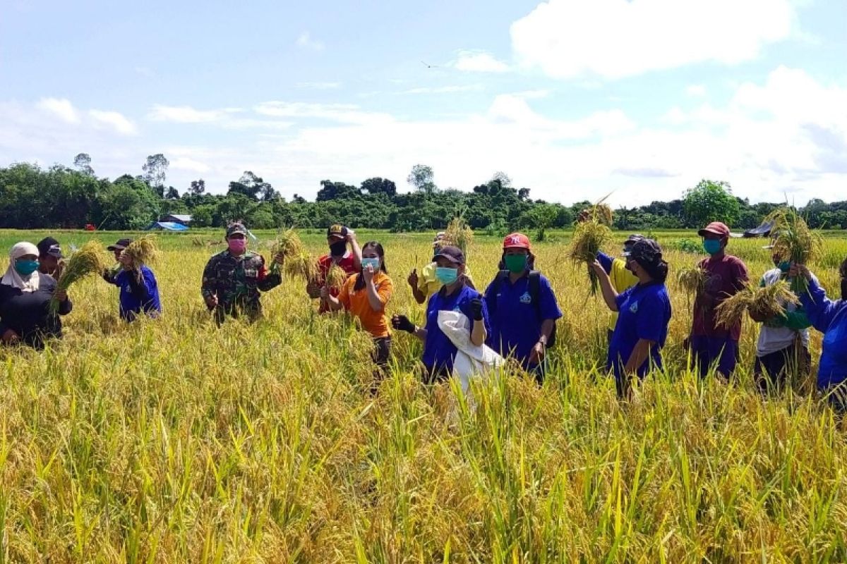 Program Sambang Petani dorong penguatan ketahanan pangan Bartim