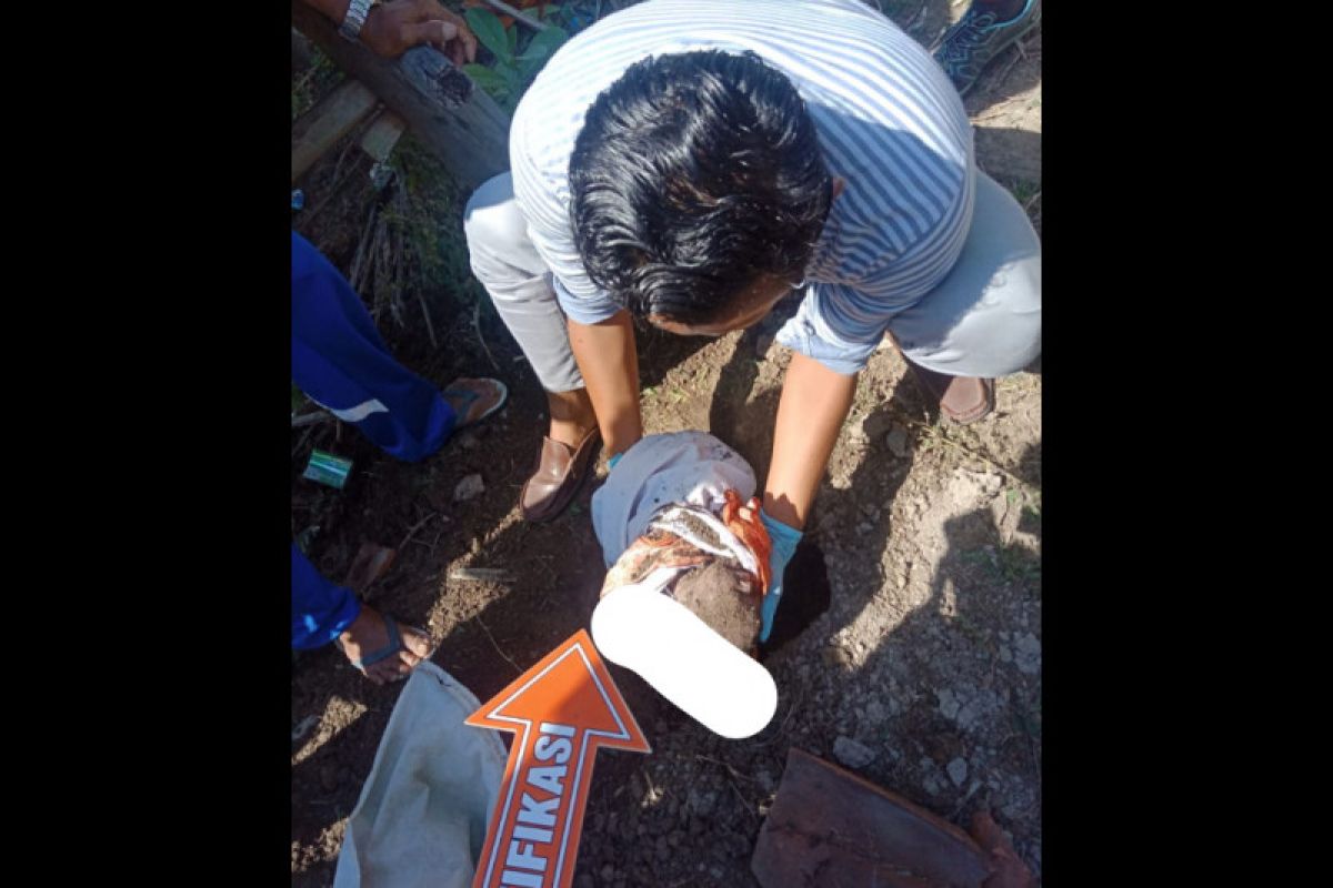 Heboh! warga Brang Ene KSB temukan bayi laki-laki terbungkus kain putih lengkap tali pusar dikubur di dalam tanah