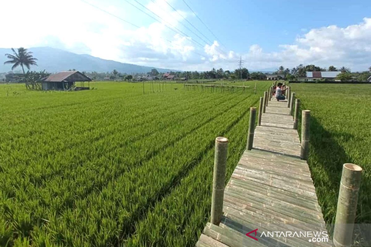 Karang Taruna Rimbo Recap Rejang Lebong bangun lokasi wisata spot foto