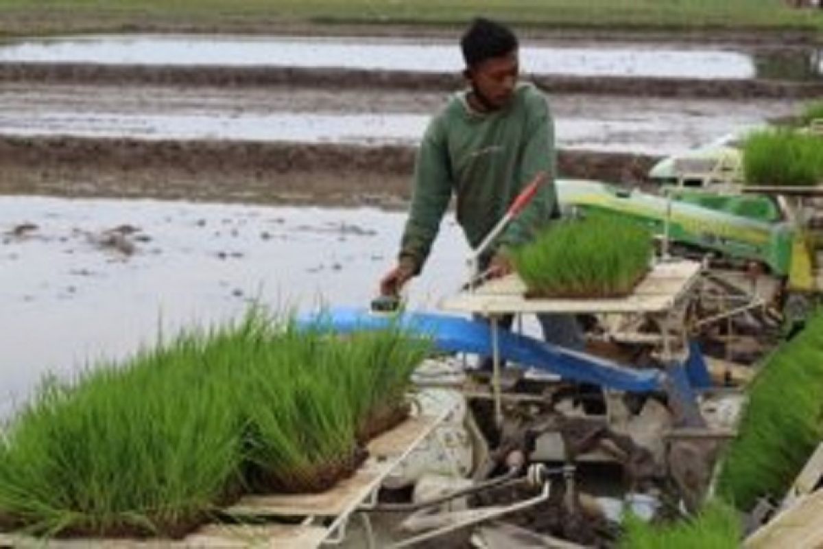 Hari pangan, konsep korporasi harus libatkan petani  sebagai subjek