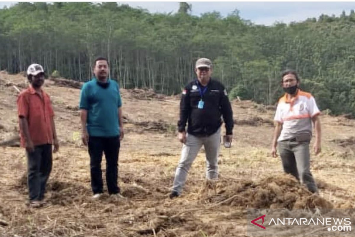 Dinas Kehutanan Kaltim laksanakan PHR 300 hektare