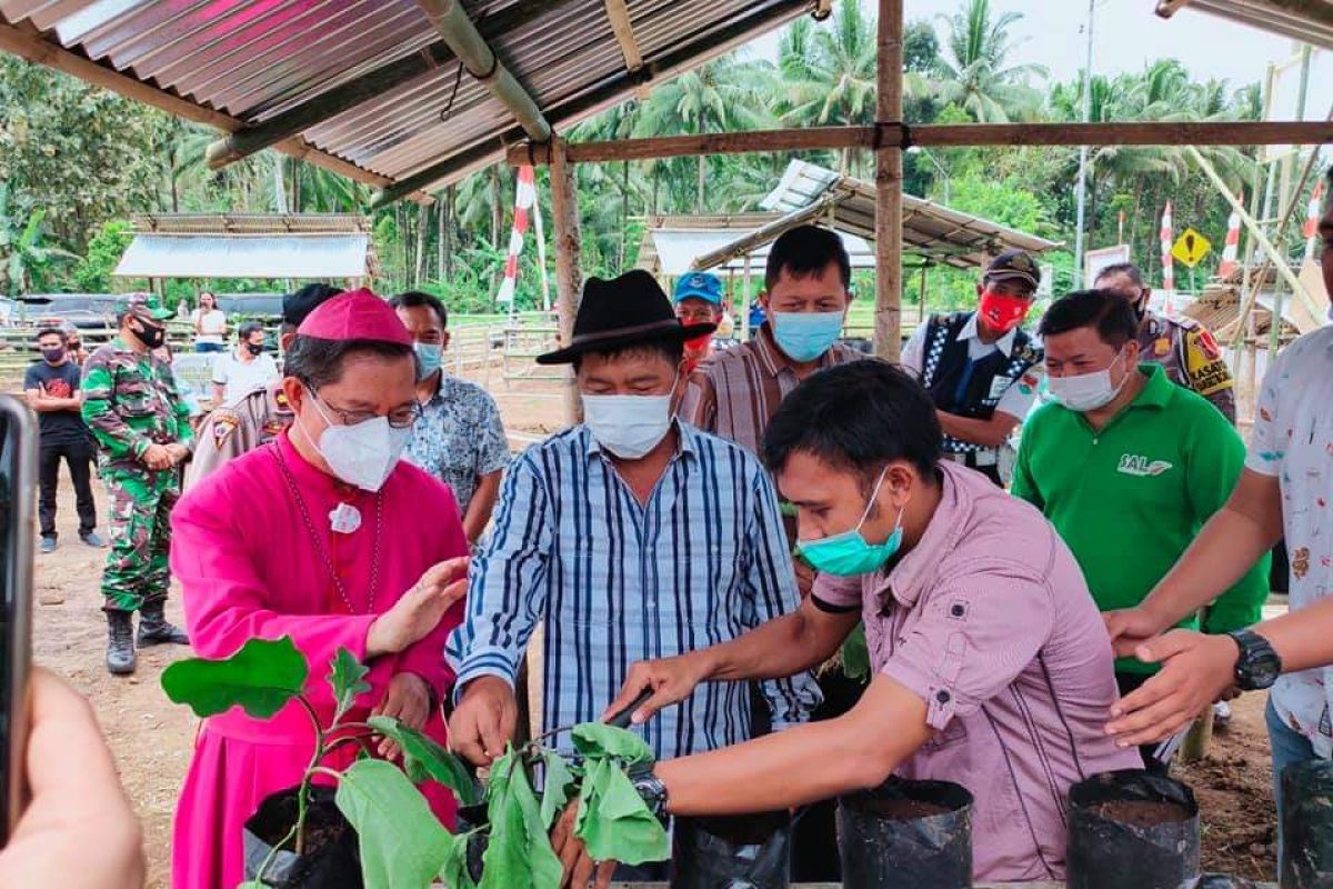 Uskup Manado mengajak umat Katolik Sulut untuk menanam