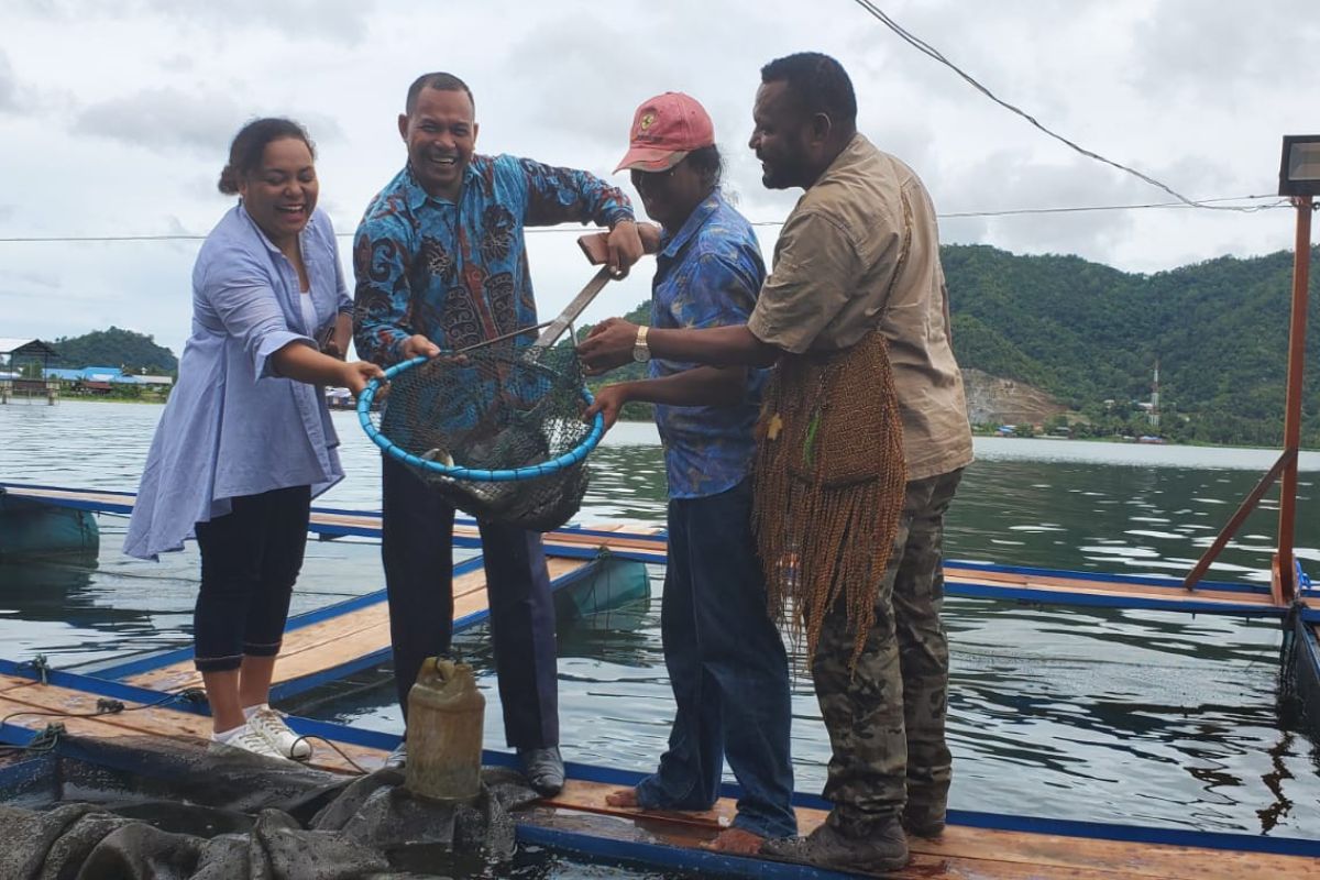 Papua Muda Inspiratif kembangkan budidaya ikan air tawar di danau Sentani