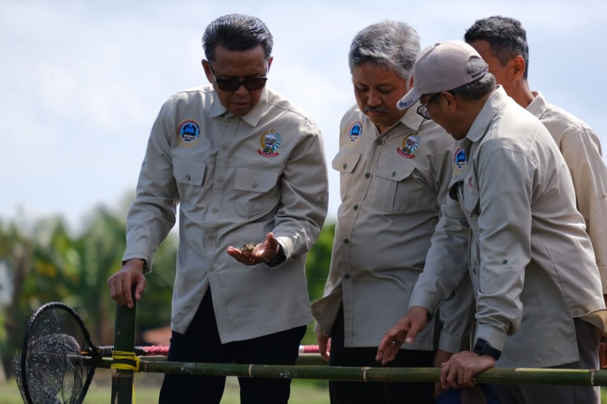 Dinas Perikanan Sulsel ingatkan petani budidaya pertanian antisipasi la nina