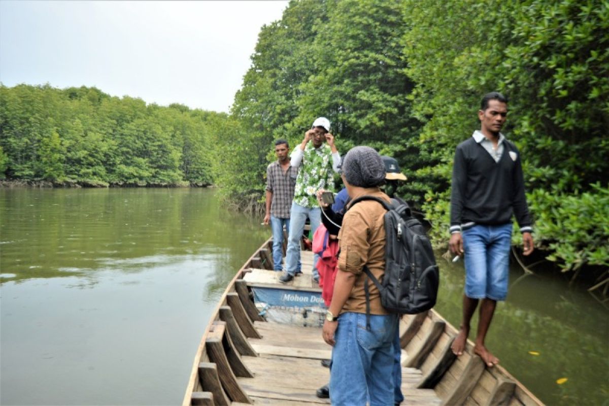 Menaksir Potensi Ekowisata Mangrove Kawasan Teluk Aru