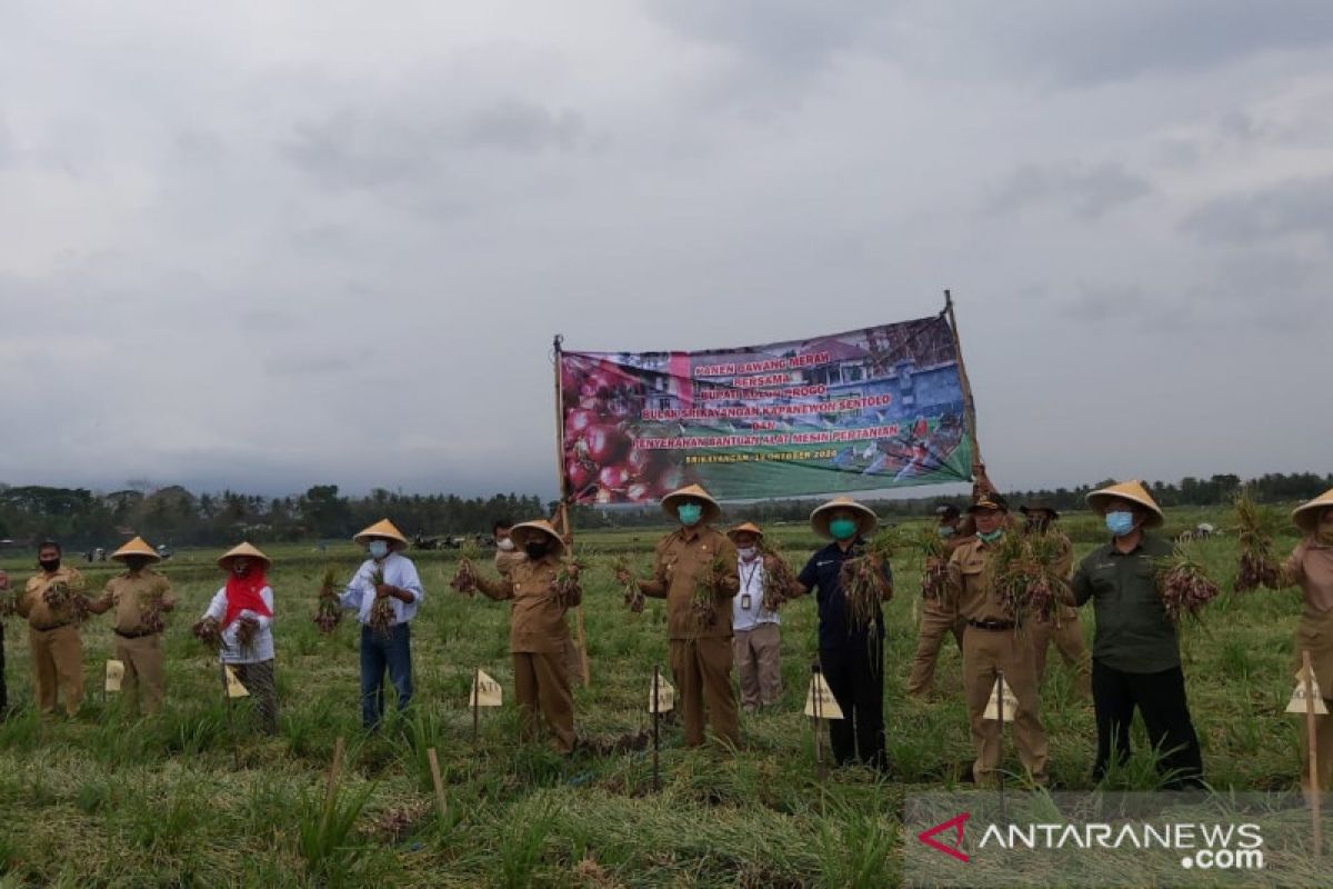 Ketua DPRD Kulon Progo mengapresiasi panen bawang merah Bulak Srikayangan