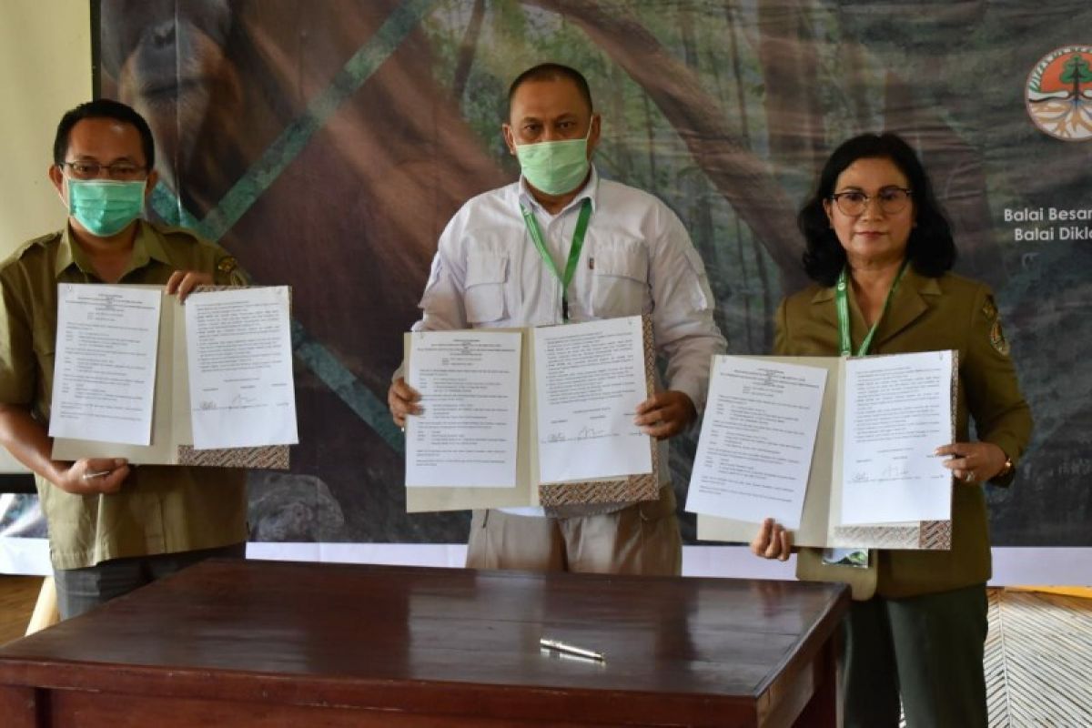 75 peserta ikuti diklat orang utan di Bahorok Langkat