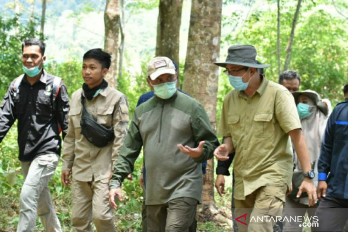 Gubernur Babel dukung reboisasi jambu mete di Desa Keposang